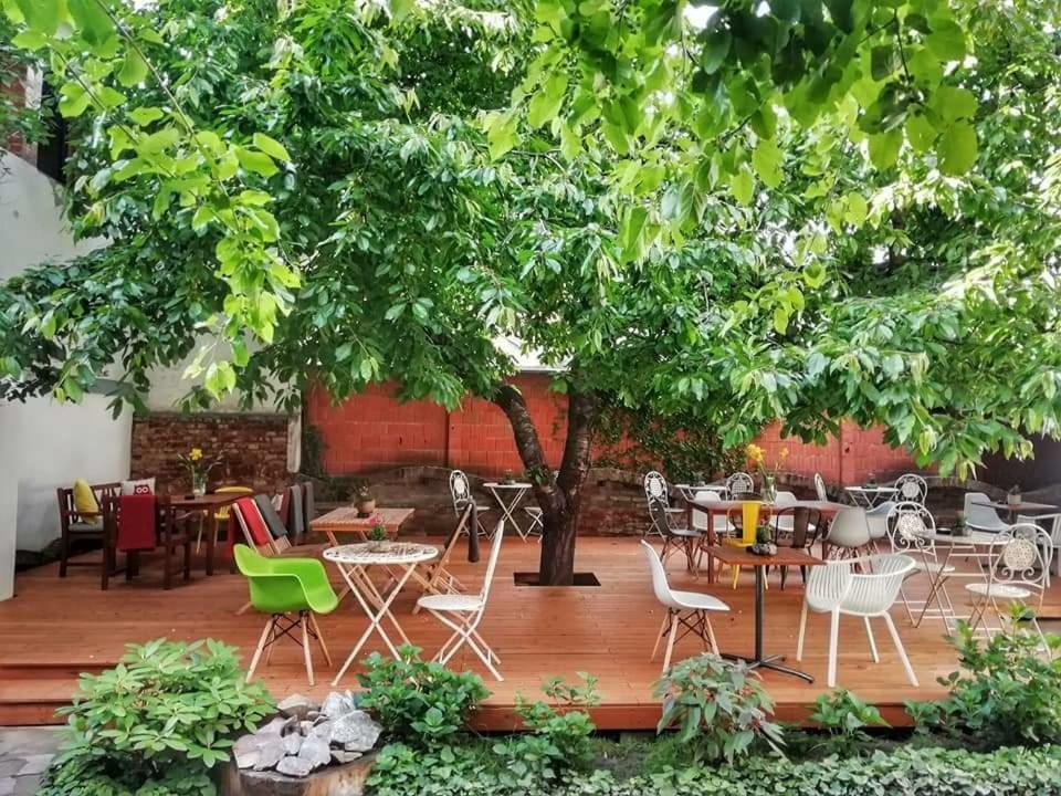 Casa Miron 1 Διαμέρισμα Τιμισοάρα Εξωτερικό φωτογραφία