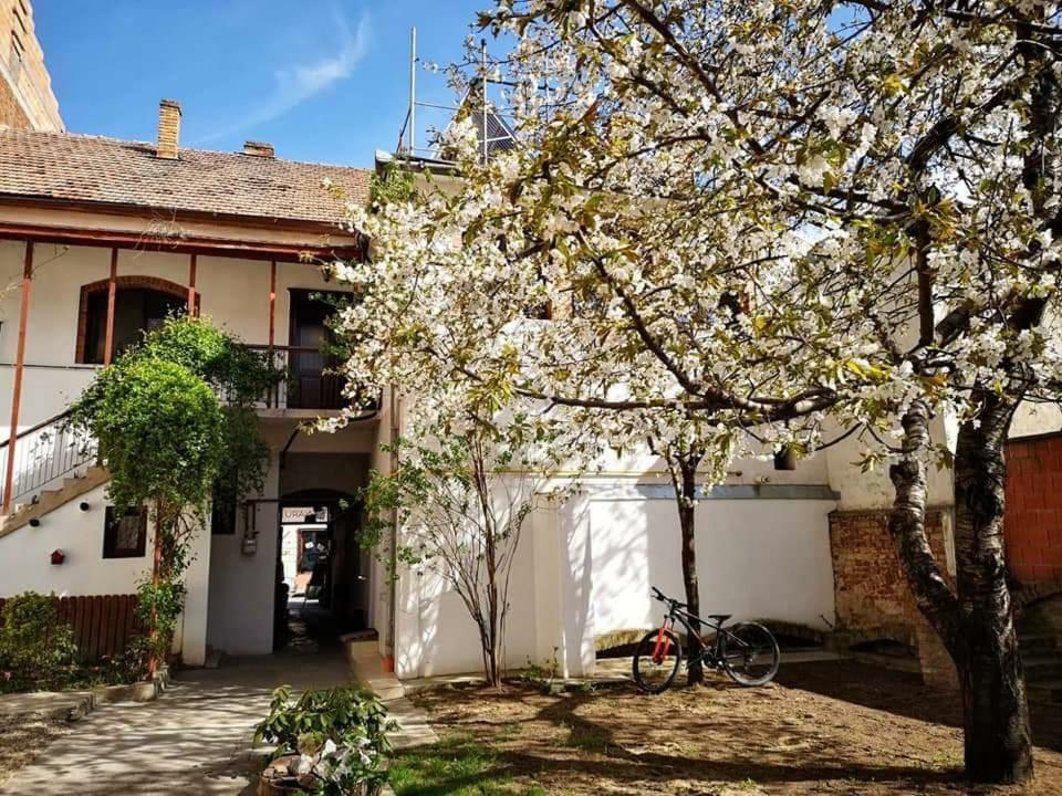 Casa Miron 1 Διαμέρισμα Τιμισοάρα Εξωτερικό φωτογραφία